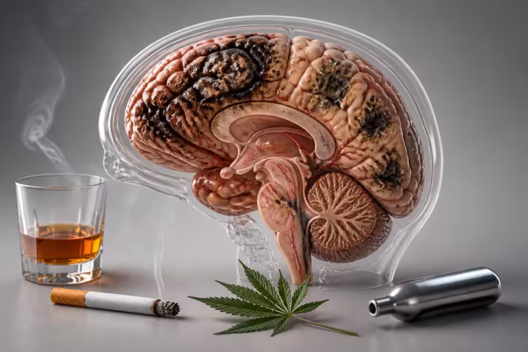 découvrez comment l'alcool, le tabac, le cannabis et le protoxyde d'azote impactent négativement le cerveau et les risques associés à leur consommation.